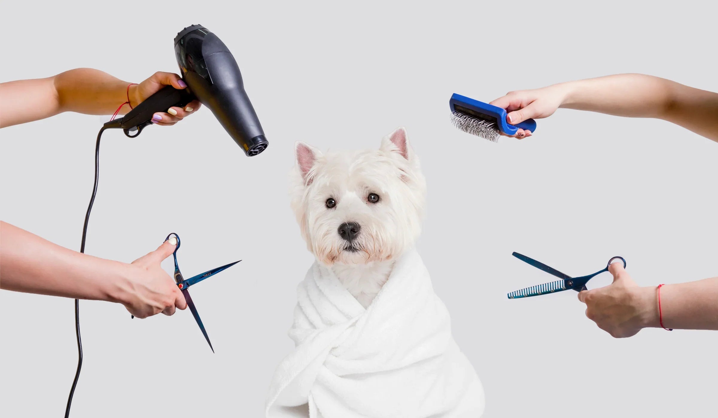 Pet tools