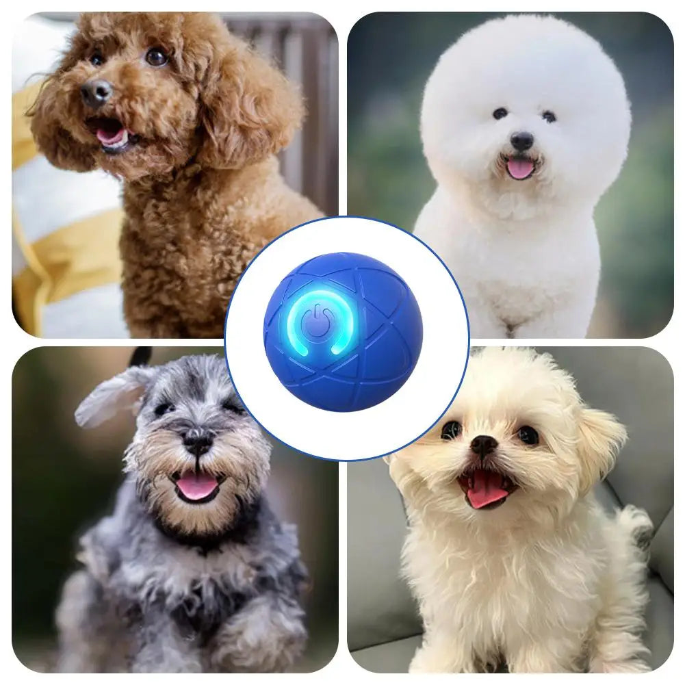 Dog Toy Ball Two Interactive Modes Dog Gift Rolling Bounce Automatic Ball Supplies Moving Pet W4k0